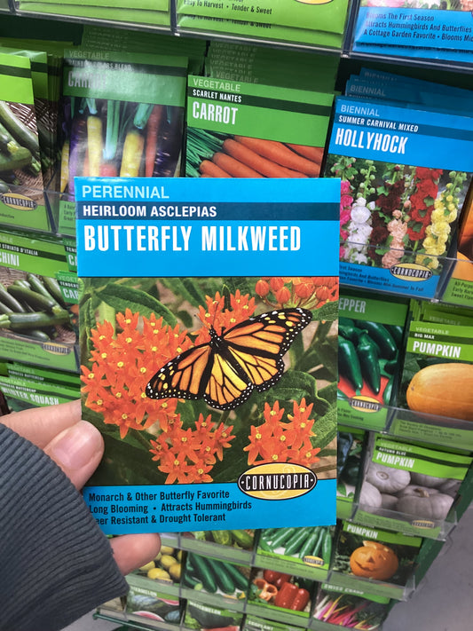 Butterfly Milkweed