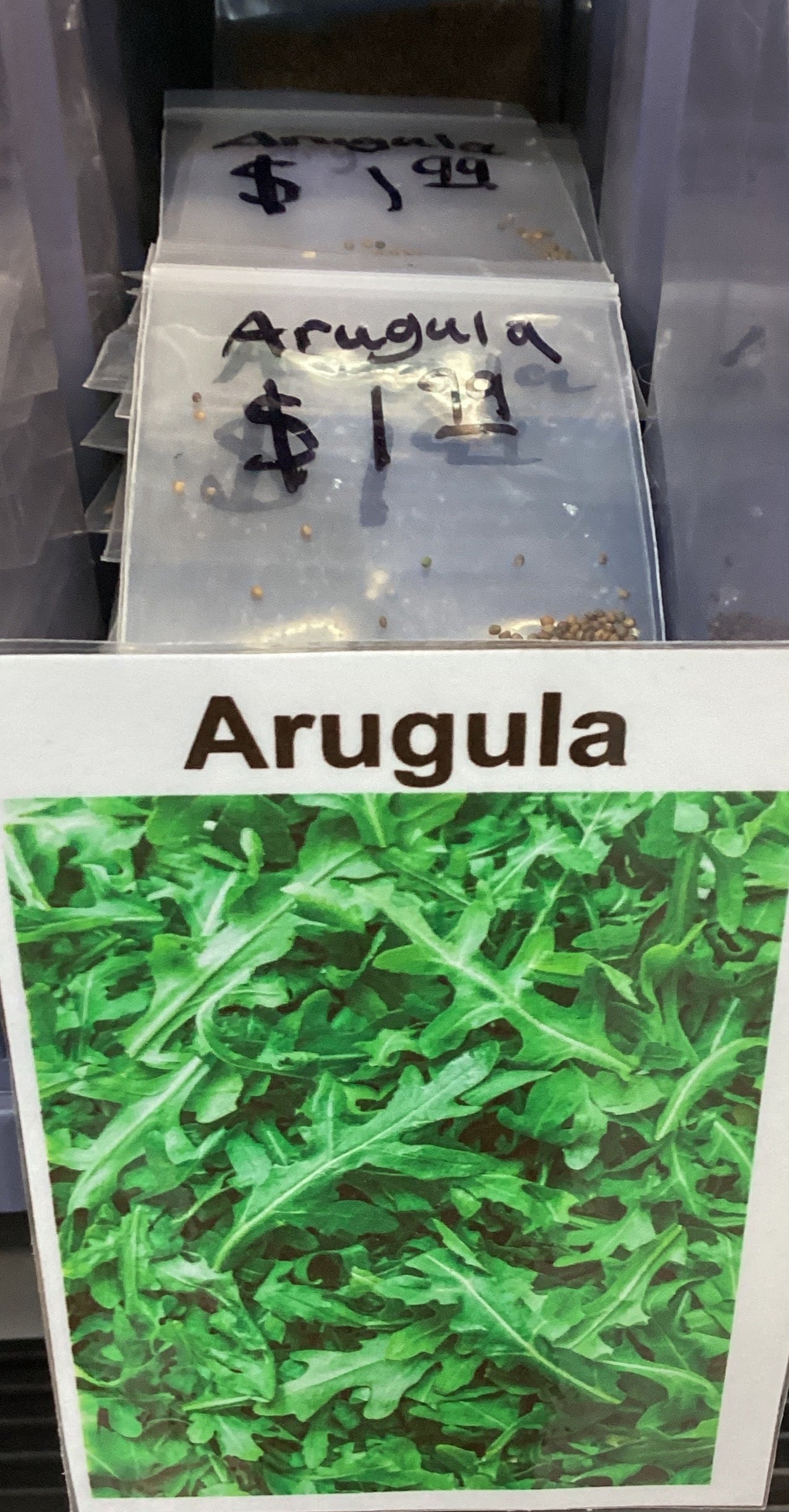 Arugula Seeds