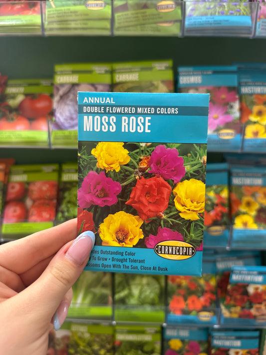 Double Flowered Mixed Colors Moss Rose