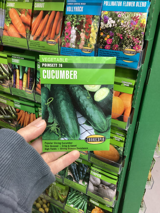 Poinsett 76 Cucumber