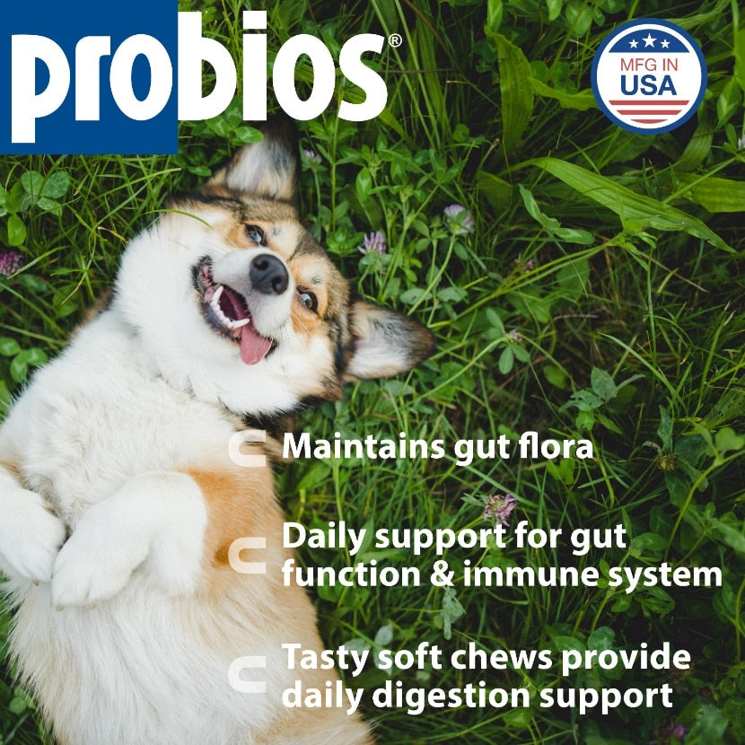Probios Medium-Large Dog Soft Chews