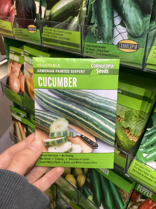 Serpent Cucumber