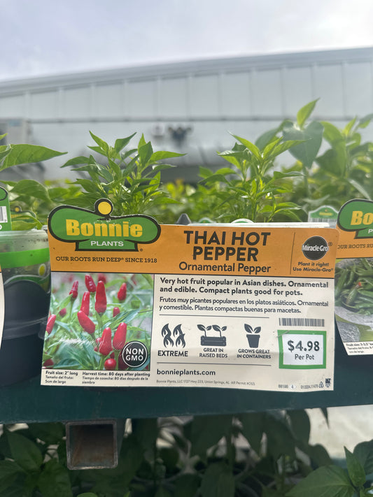 Bonnie Thai Hot Pepper Cup