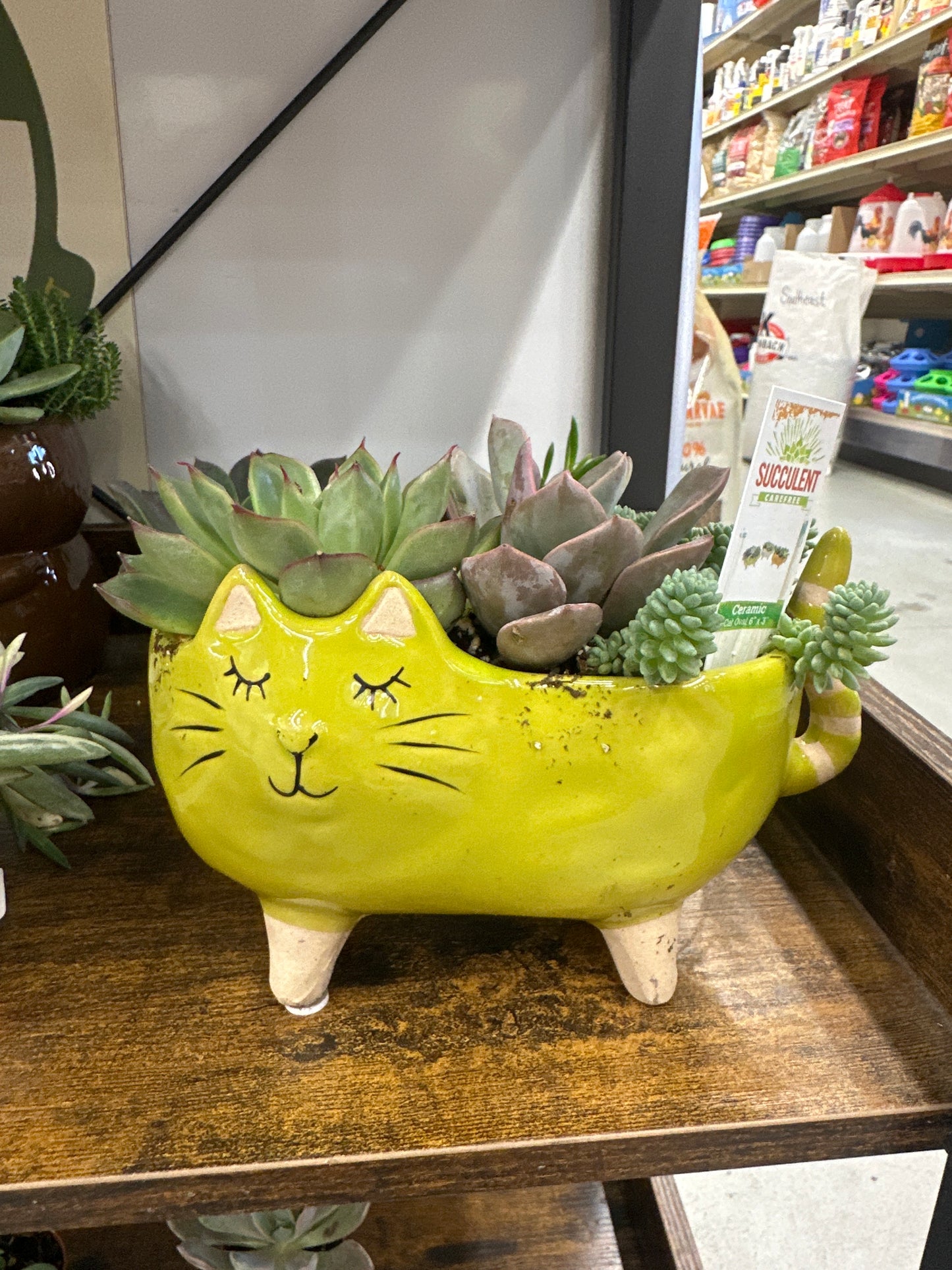 Ceramic Cat Oval