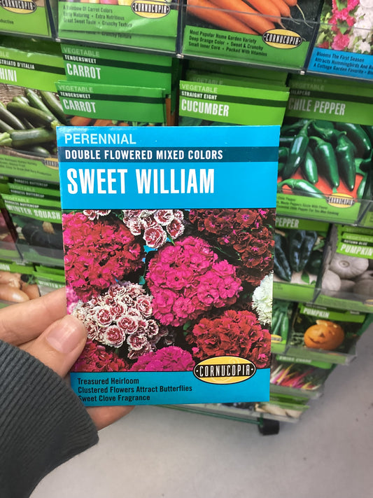 Sweet Willam
