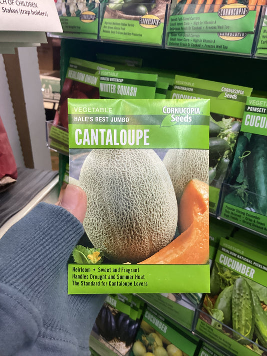 Cantaloupe