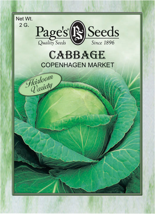 Cabbage