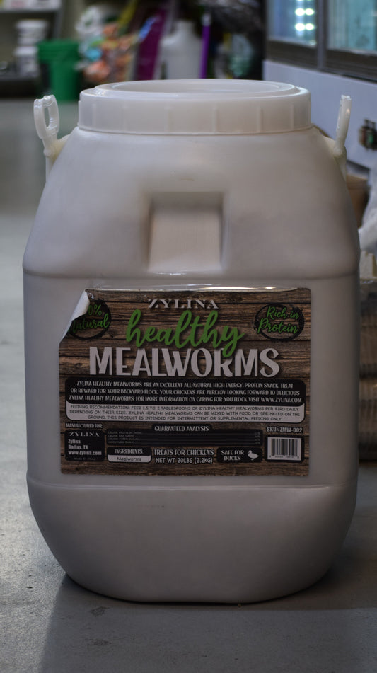 Healthy Mealworm Tub 20lb
