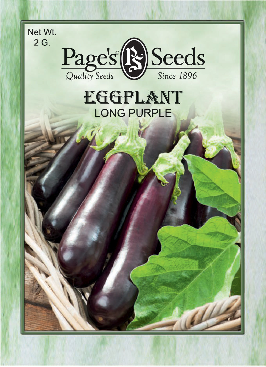 Eggplant