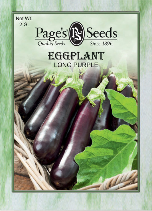 Eggplant