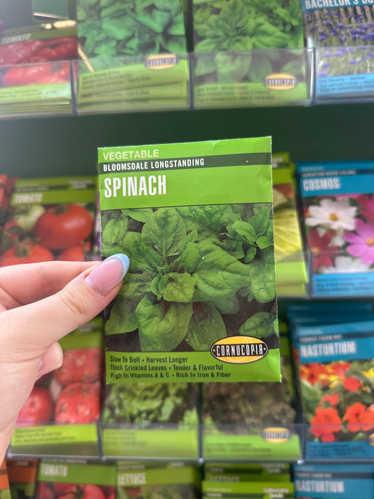 Bloomsdale Longstanding Spinach