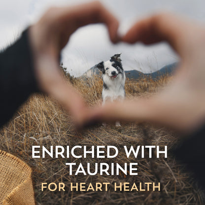 Wholesome Lamb Meal and Potatoes