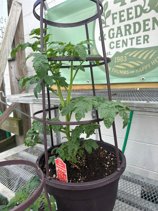 Husky Cherry Red 1gal