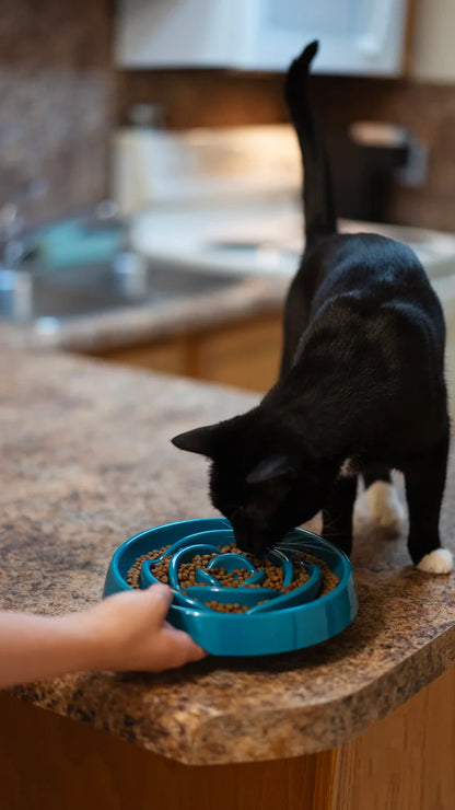 Messy Mutts Interactive Slow Feeder