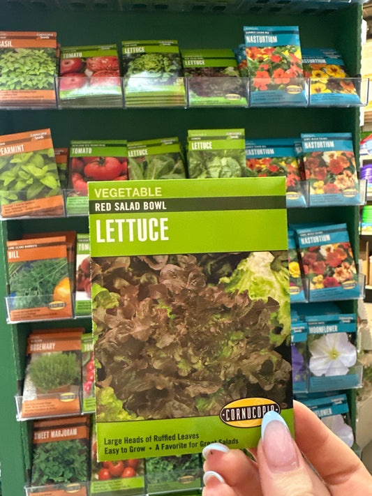 Red Salad Bowl Lettuce