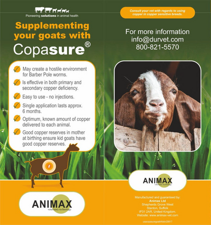 Animax Copasure Goat