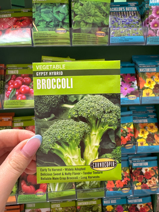 Gypsy Hybrid Broccoli