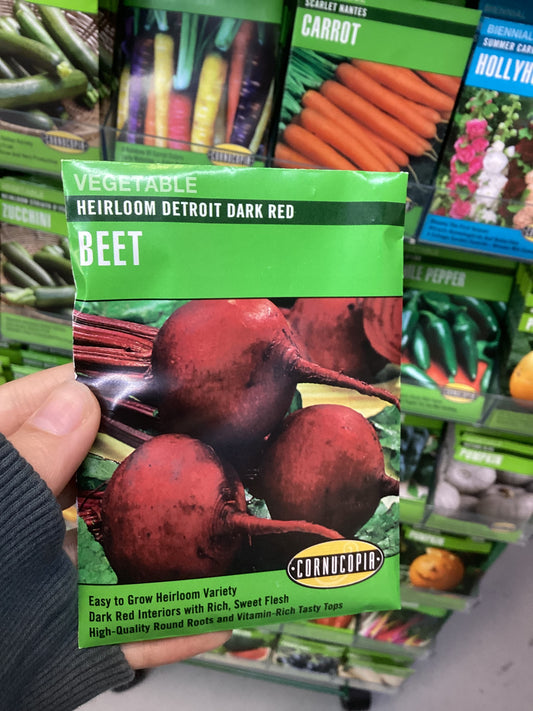 Dark Red Beet