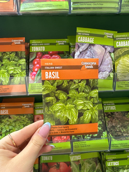 Italian Sweet Basil
