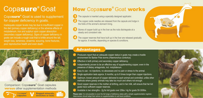 Animax Copasure Goat