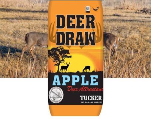 Deer Draw