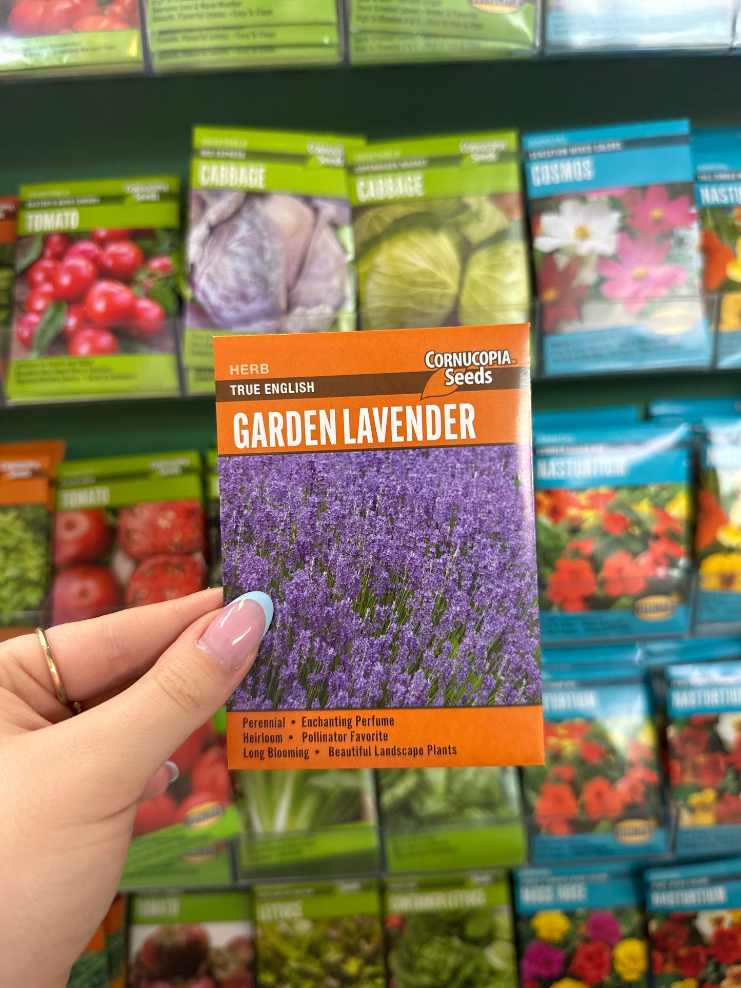 True English Garden Lavender