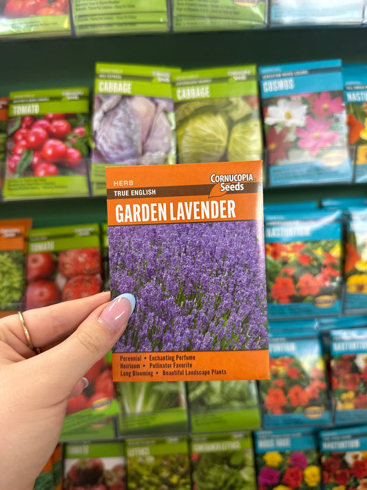 True English Garden Lavender