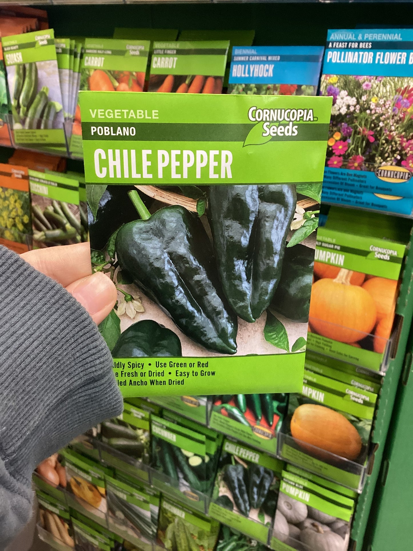 Chile poblano