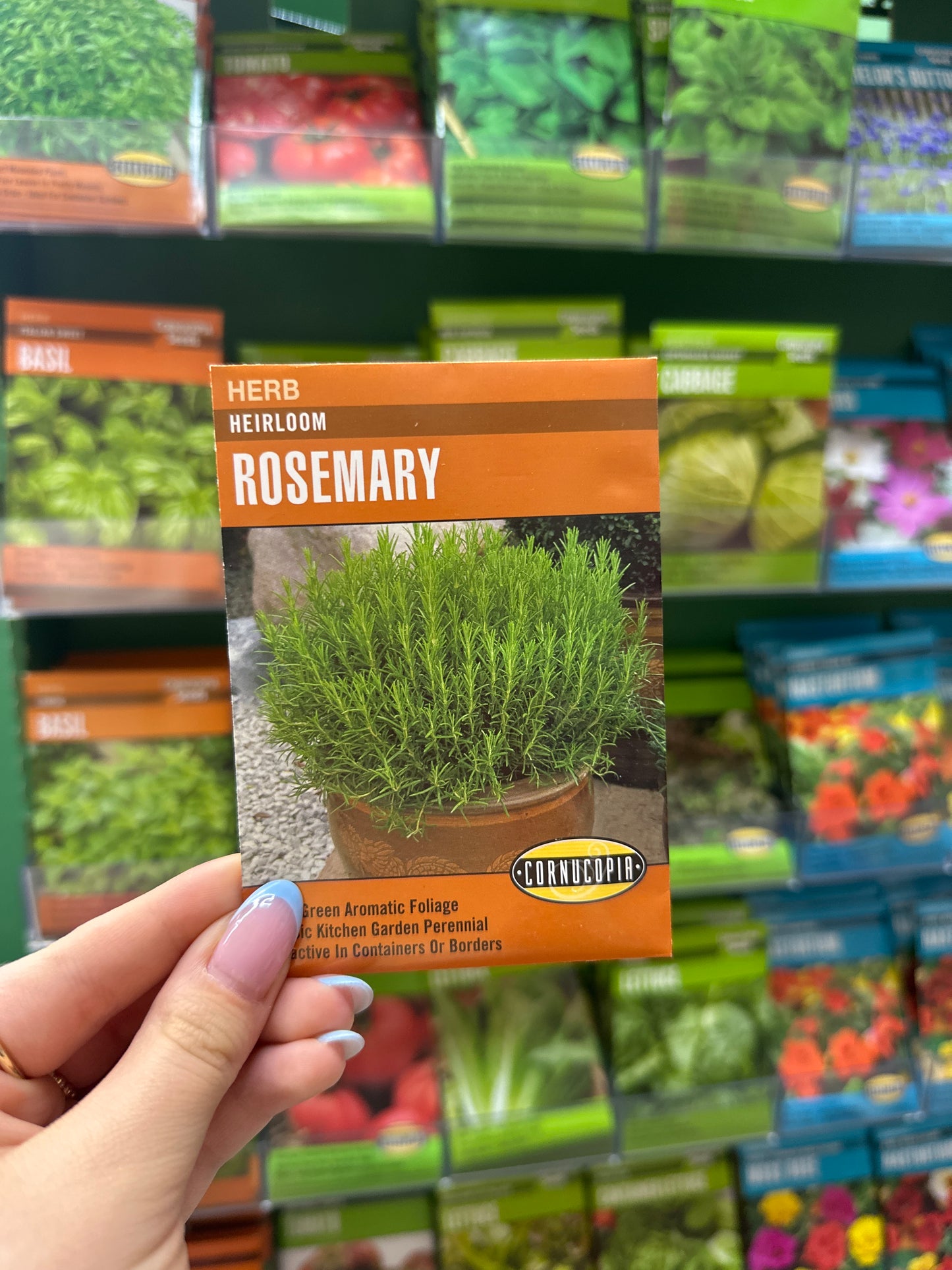 Rosemary