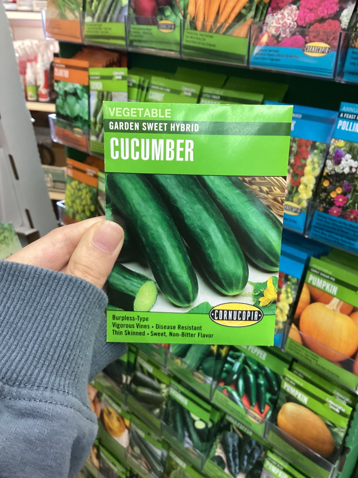 Garden Sweet Hybrid Cucumber