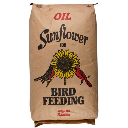 Black Oil Sunflower Seeds