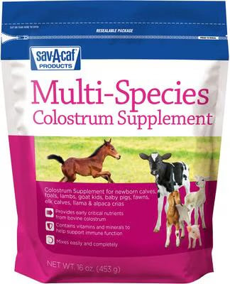 Suplemento de calostro multiespecies 