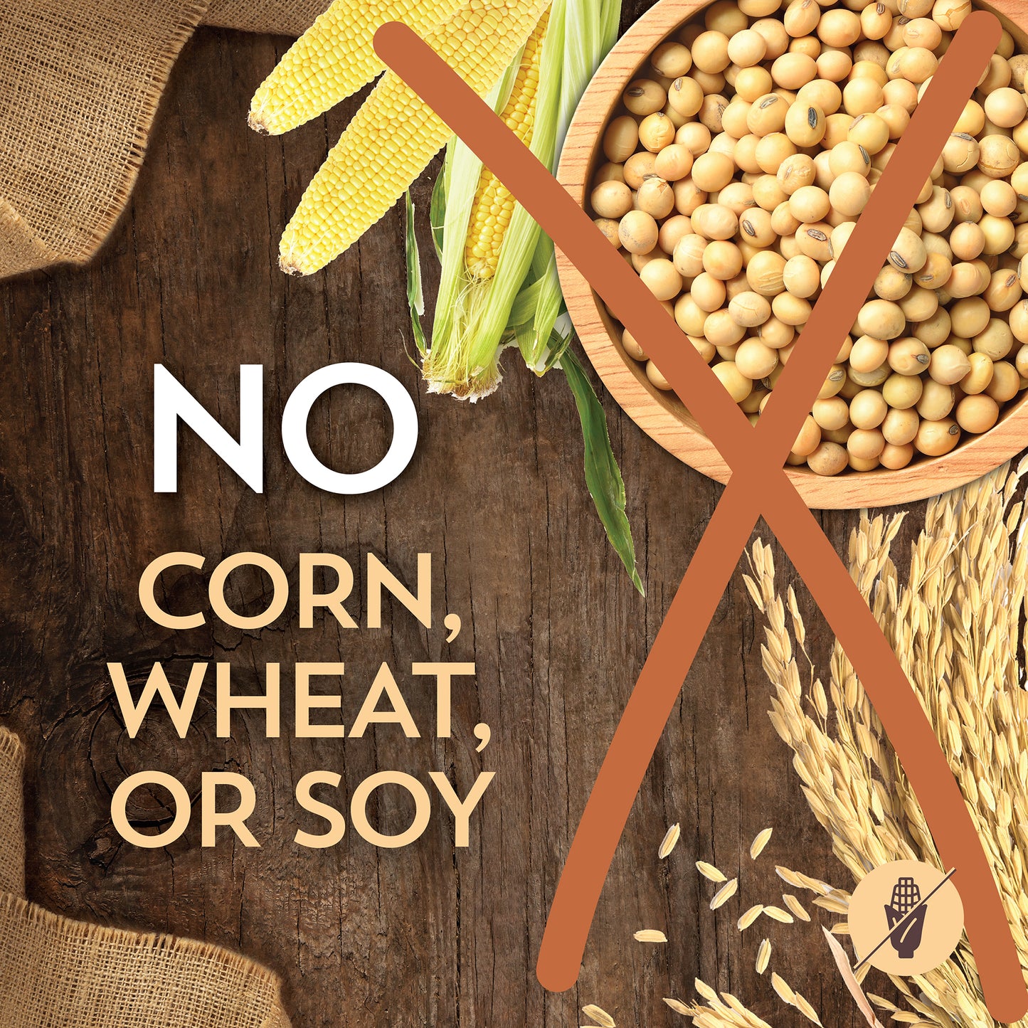 Wholesome’s Bison Meal and Rice Recipe