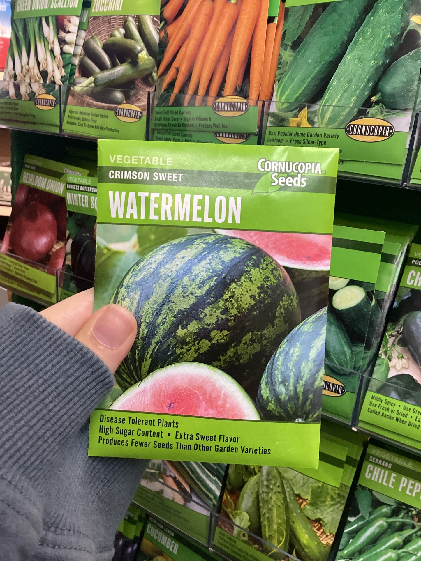 Crimson Sweet Watermelon