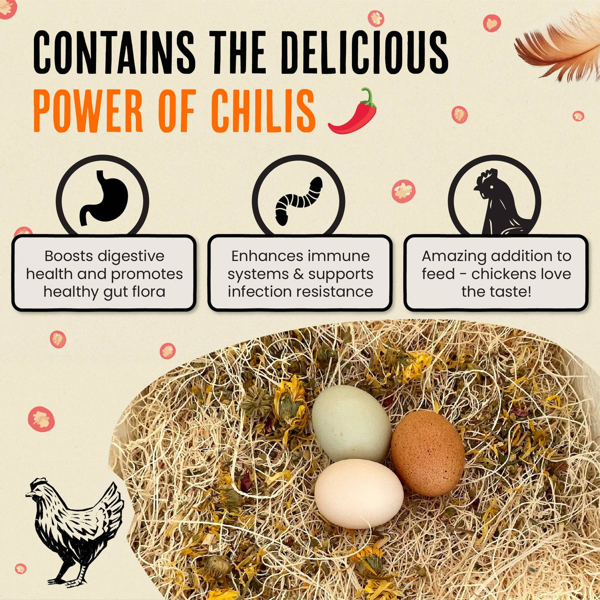Chicken Nesting Herbs | Pest Repellent | For Chicken Coops: 1 Pouch (1lb)