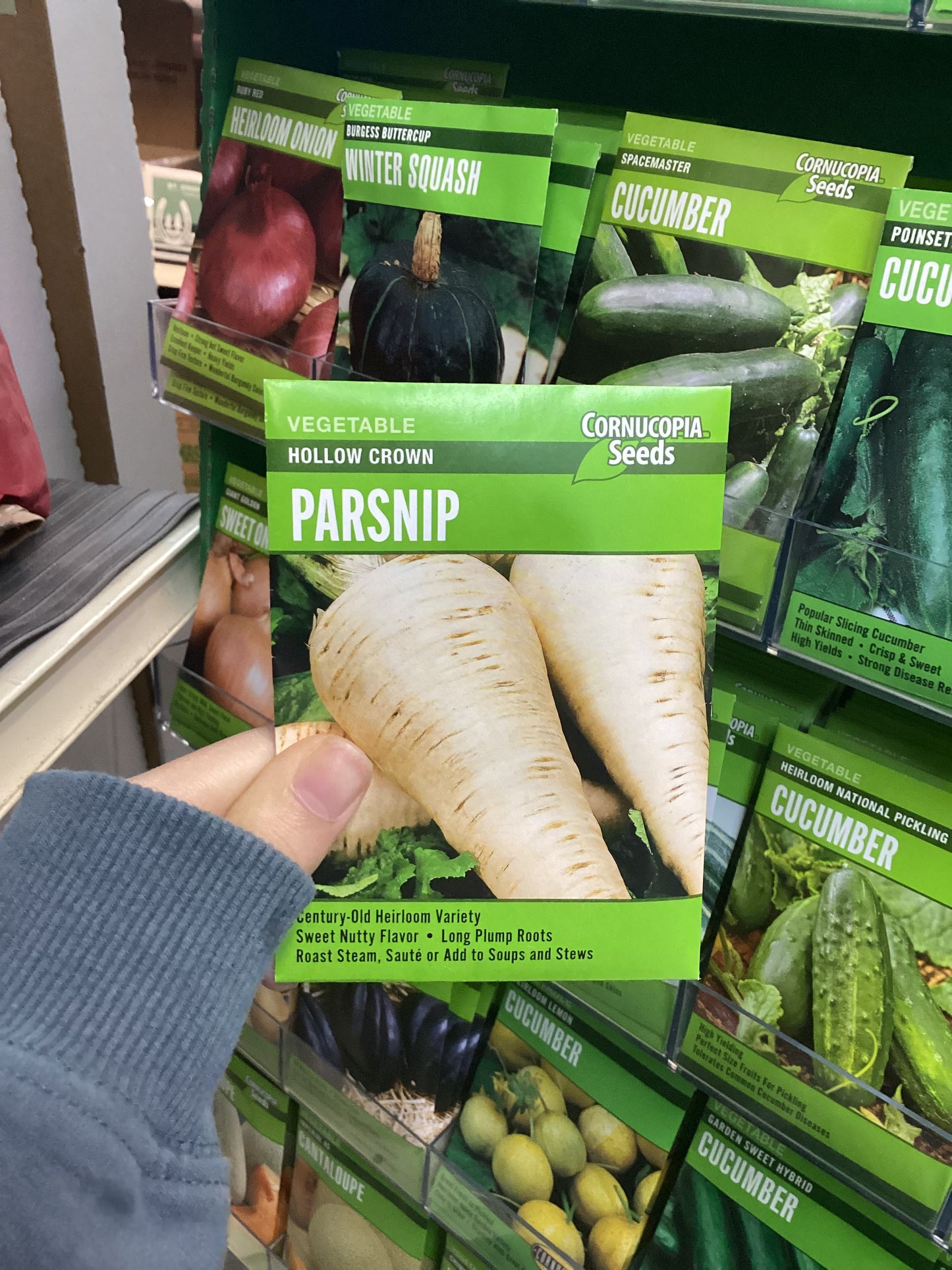 Parsnip