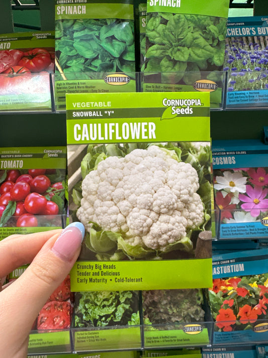 Snowball “Y” Cauliflower