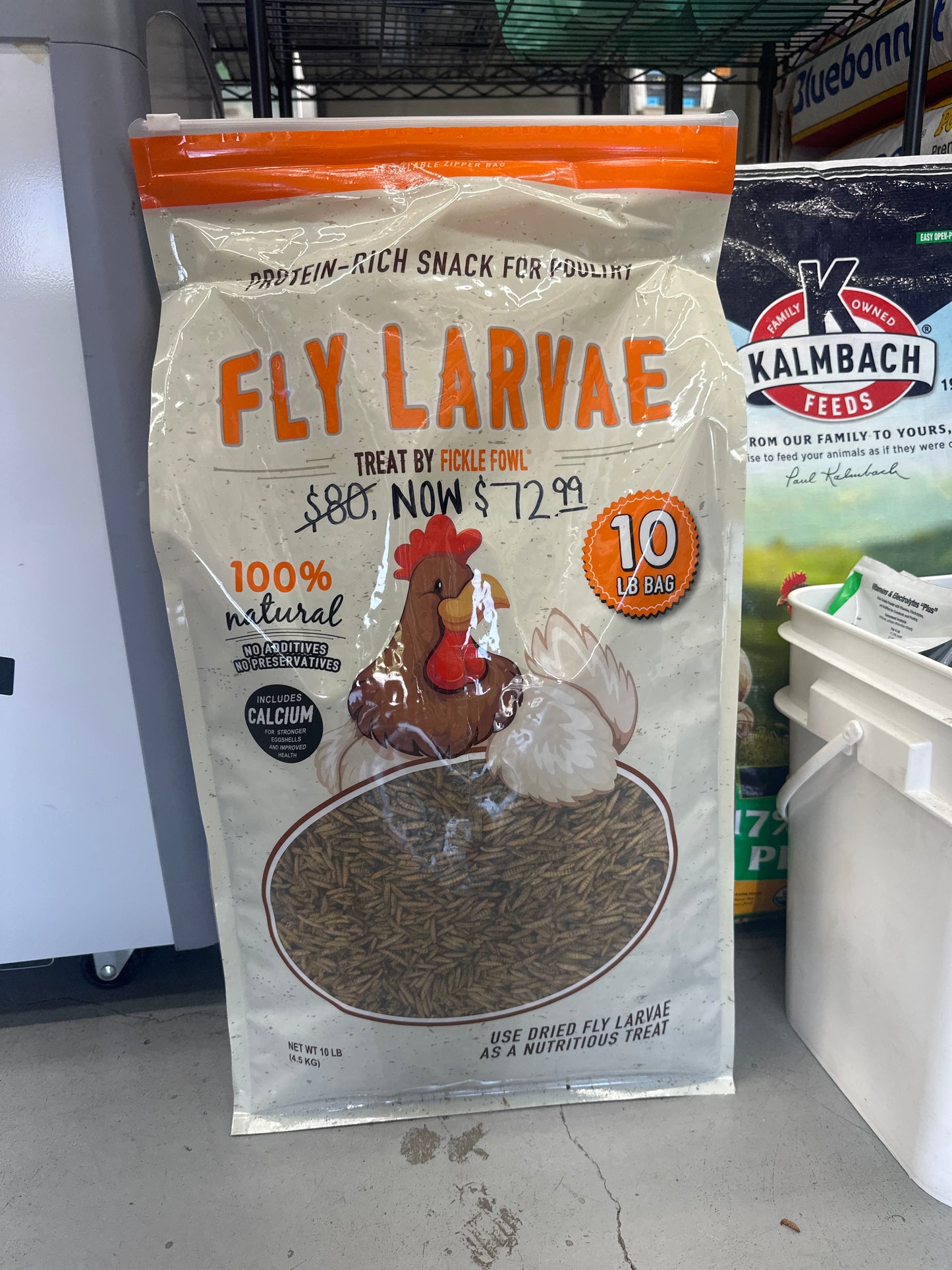 Fly Larvae 10lb