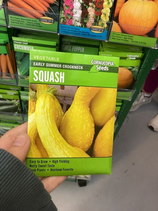 Early Summer Squash