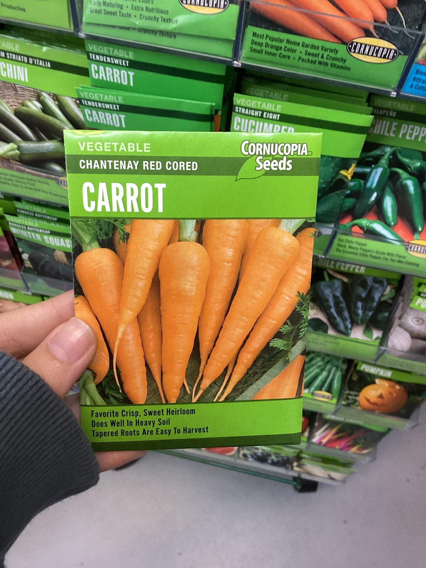 Chantenay Red Cored Carrots