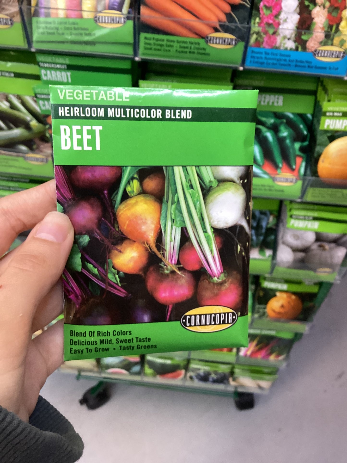 Heirloom Multicolor Blend Beet