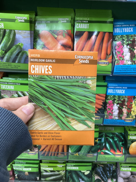 Heirloom Garlic Chives