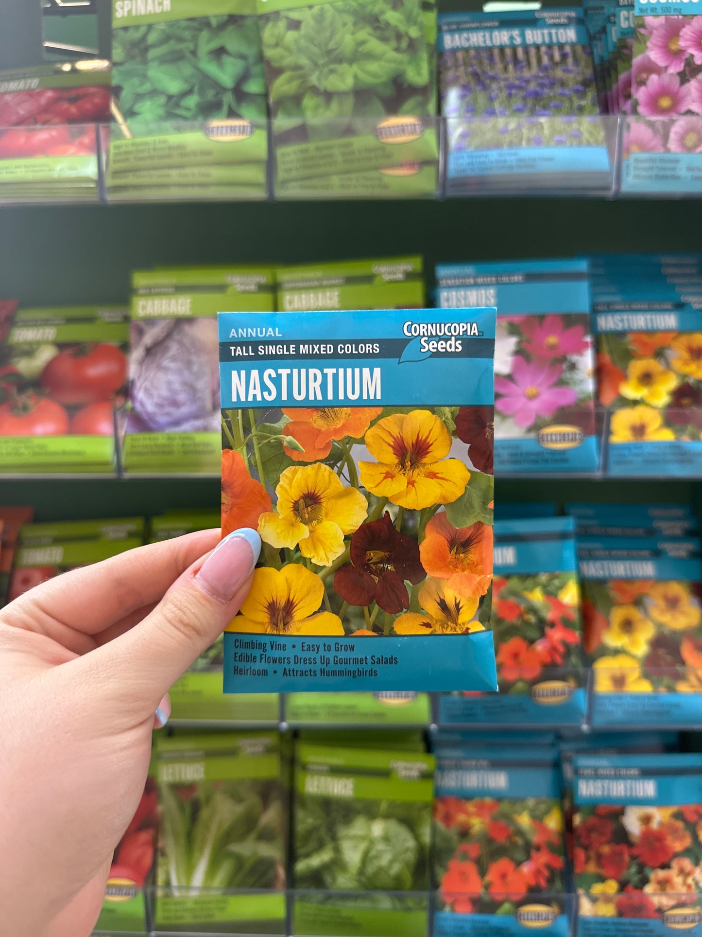 Tall Single Mixed Colors Nasturtium