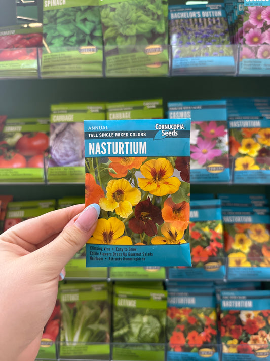 Tall Single Mixed Colors Nasturtium