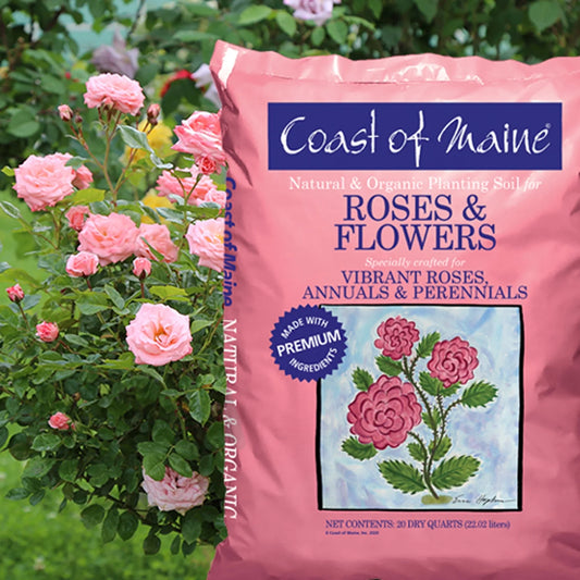 Coast of Maine Soil For Roses & Flowers