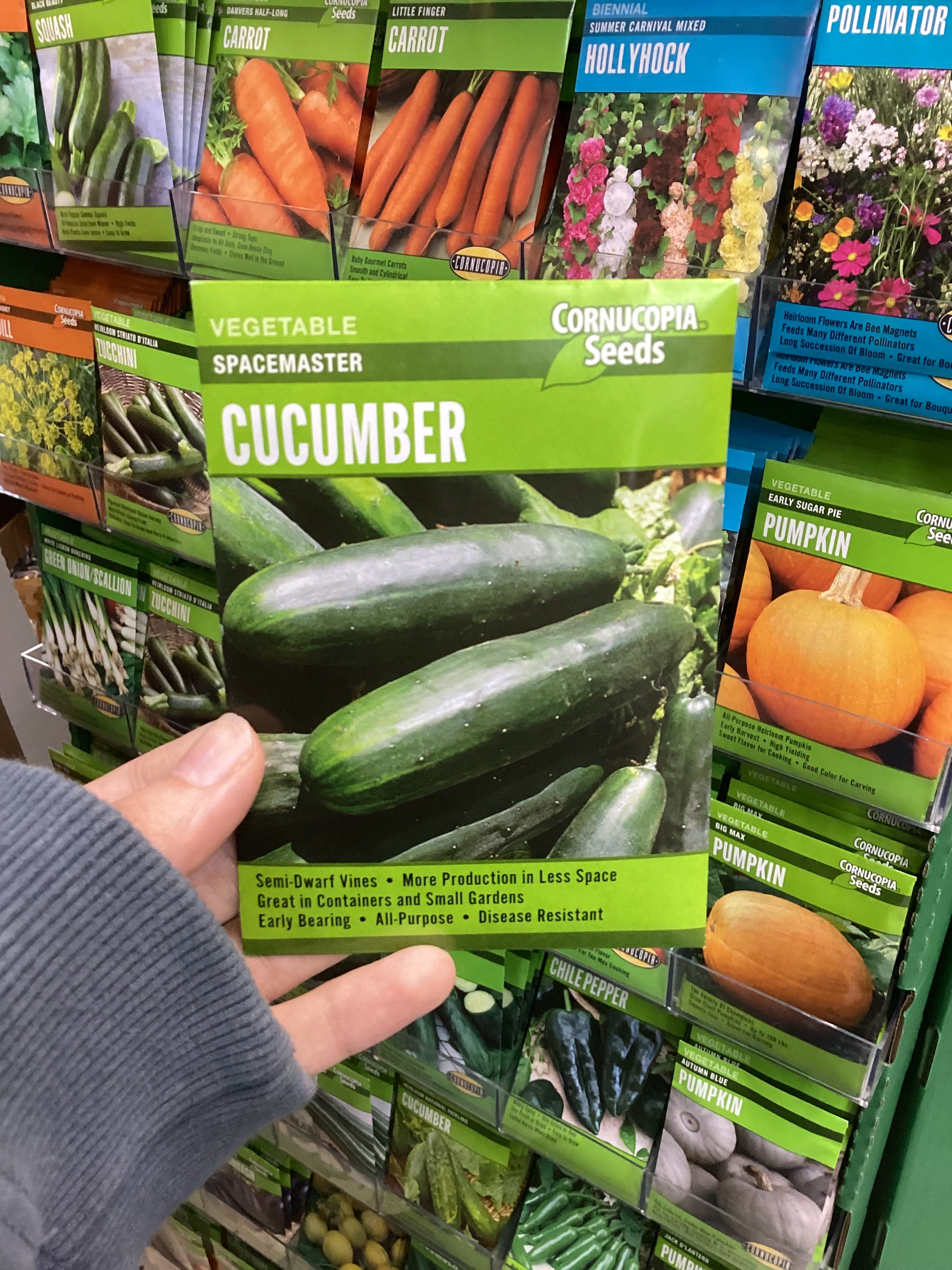 Spacemaster Cucumber – 41 Feed And Garden