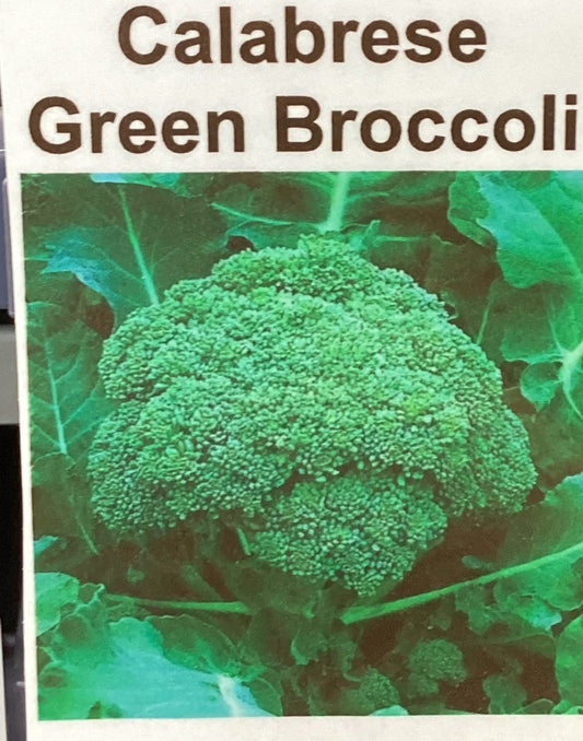 Calabrese Green Broccoli Seeds