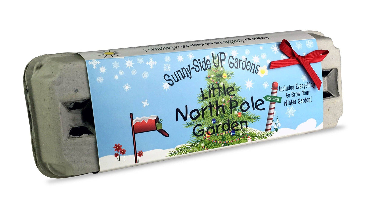 Little North Pole Garden Christmas Holiday Grow Kit