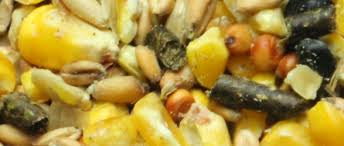 11 Way Extreme Grain Scratch