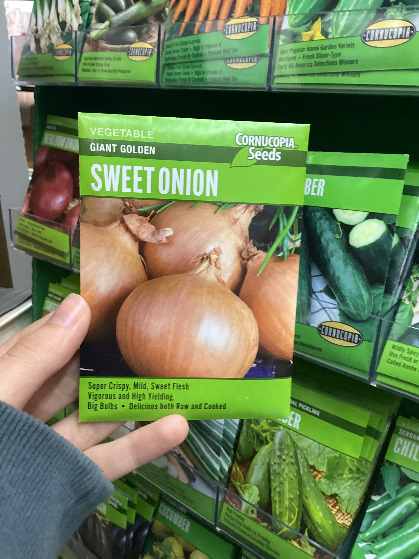 Sweet Onion
